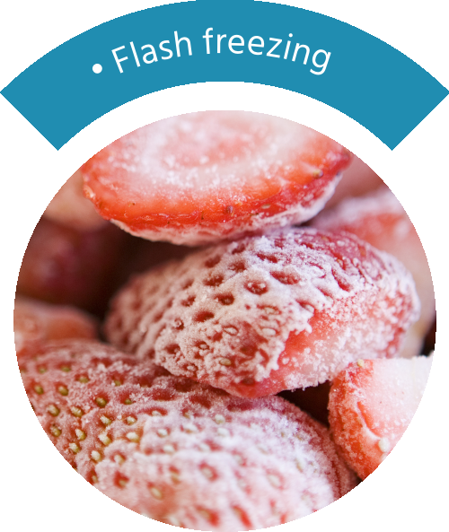 Freezing Strawberry