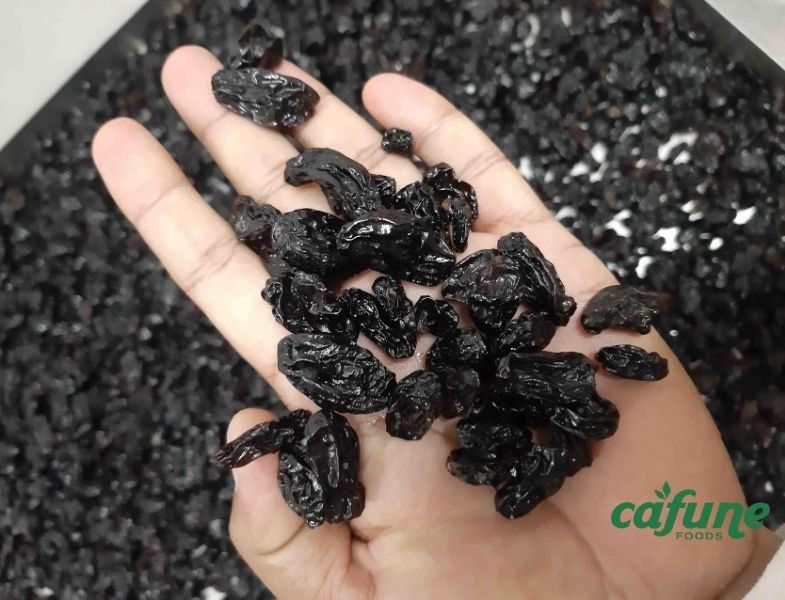 Freeze Dried Seedless Black Raisins