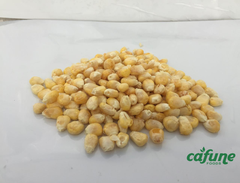 Freeze Dried Sweet Corn