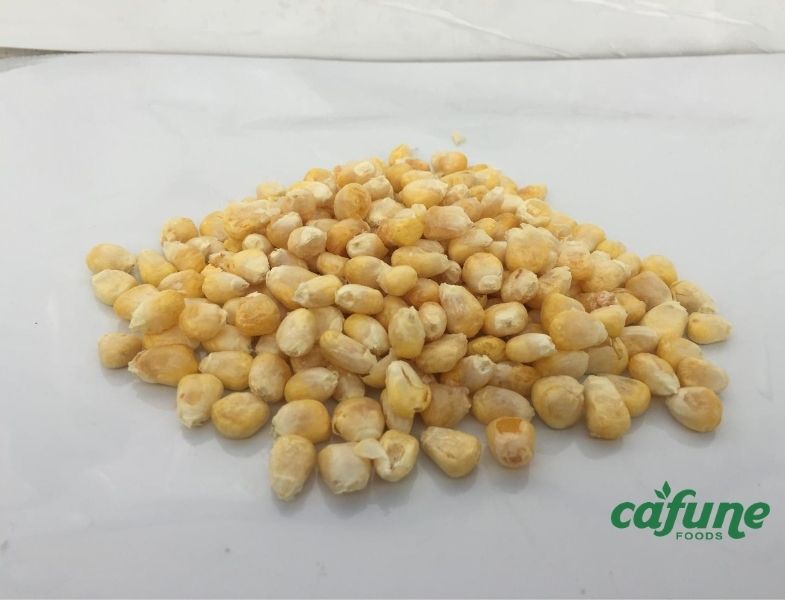 Freeze Dried Sweet Corn